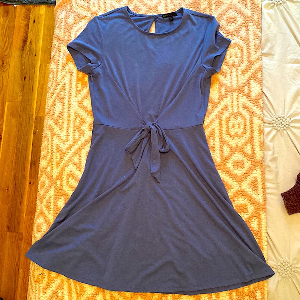 Blue Skater Dress